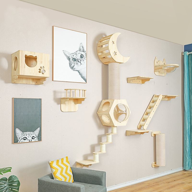 Lemmikloomade armastus